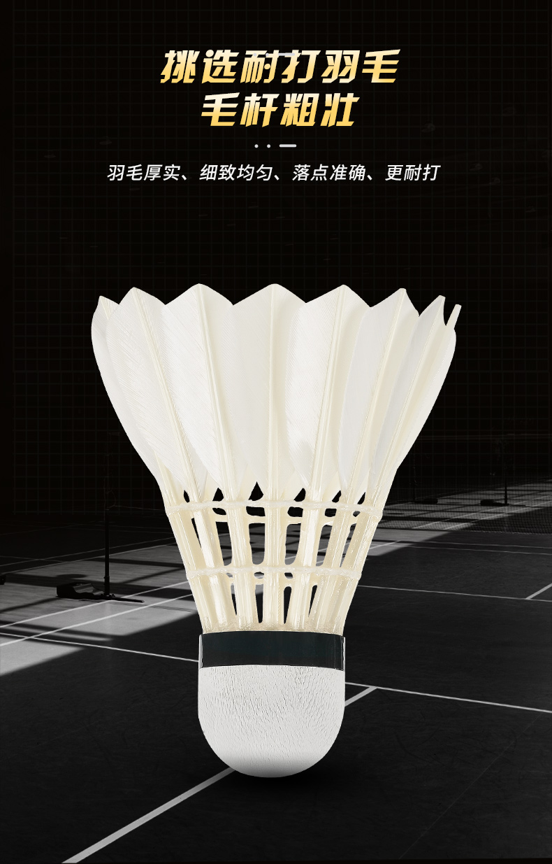 Novo 12PCS Profissional Badmin - Badminton Youtube avaliação e preço