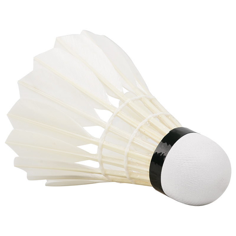 Novo 12PCS Profissional Badmin - Badminton Youtube avaliação e preço